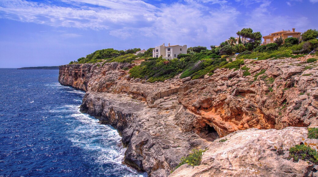 A part of Vallgornera