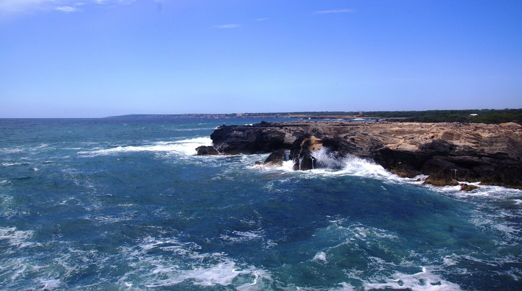 S'Estanyol de Mirgjorn