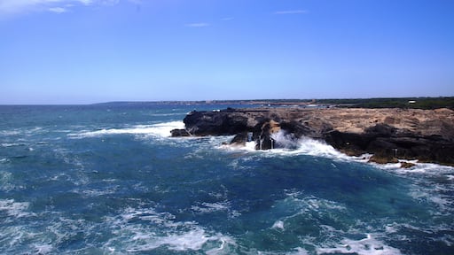 S'Estanyol de Mirgjorn