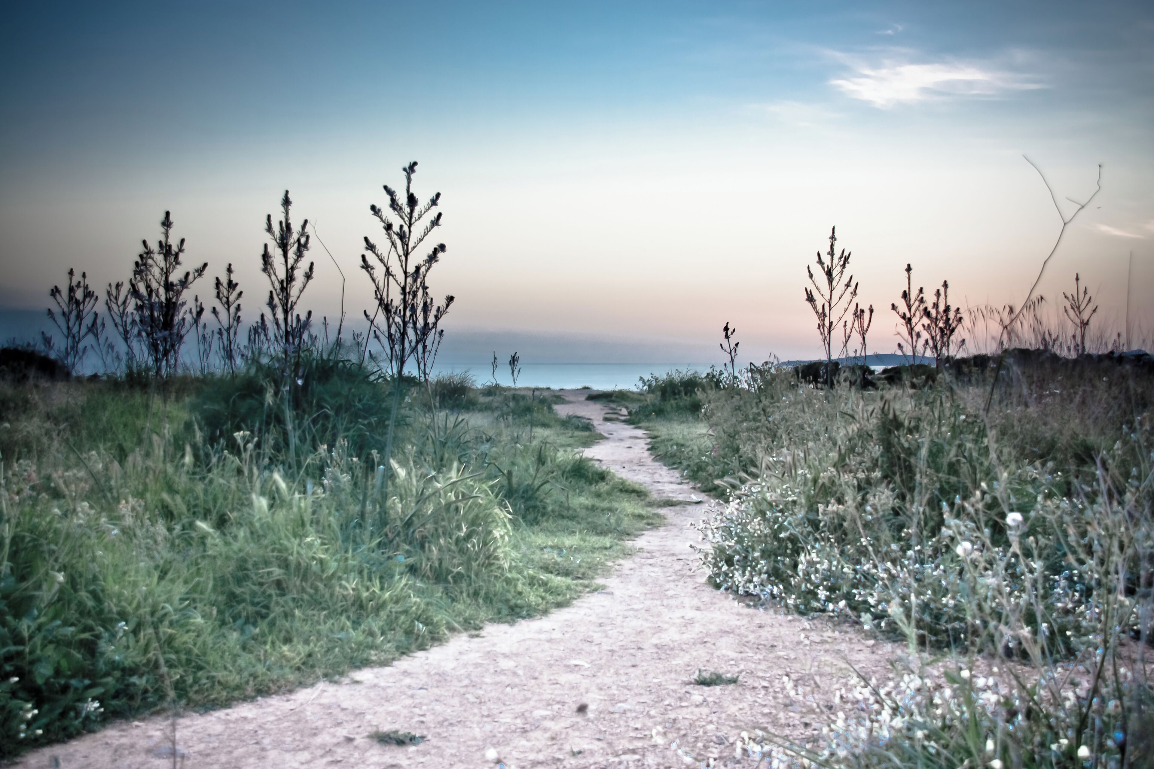 Me quedó muy oscura y la descarté, pero hoy trasteando un poco mucho con Lightroom me ha gustado, y se ha quedado como alternativa. ¿Que os parece?