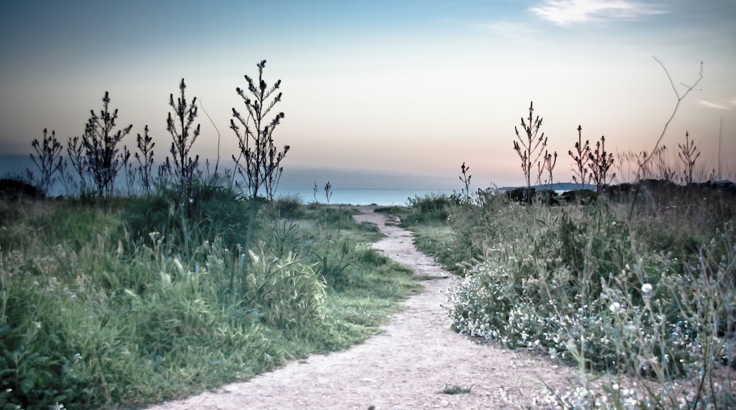Me quedó muy oscura y la descarté, pero hoy trasteando un poco mucho con Lightroom me ha gustado, y se ha quedado como alternativa. ¿Que os parece?