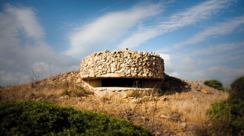 Cylon Raider de Piedra