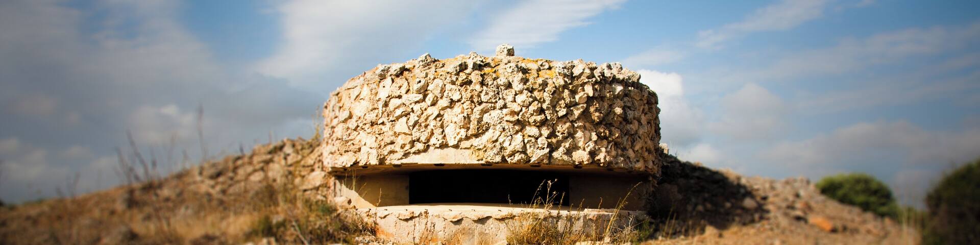 Cylon Raider de Piedra