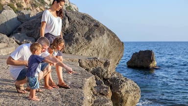 summer holiday family