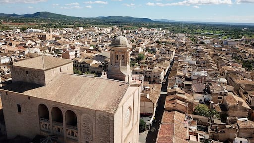 Aerial View Llucmajor Iglesia San Miguel Mallorca Spain , Shutterstock ID 733250503, SF SSA Case with Manager Approval: Case 07151371, Job: Prepay credit, Client/Licensee: , Other: