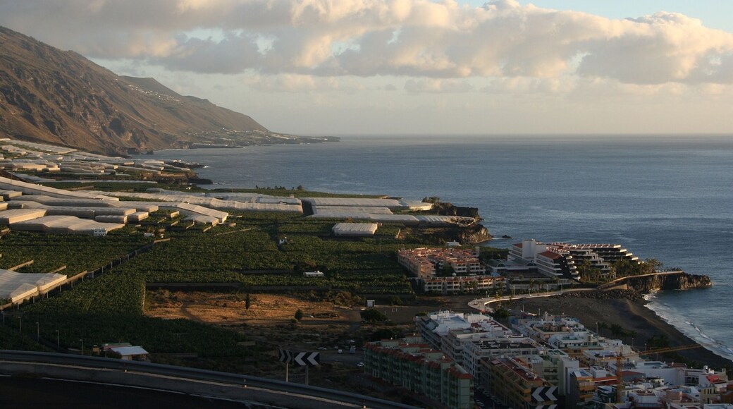 Puerto Naos, El Remo