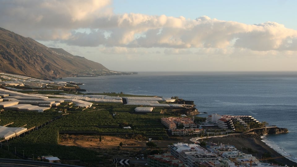 Puerto Naos, El Remo