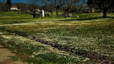 Extremadura 2010