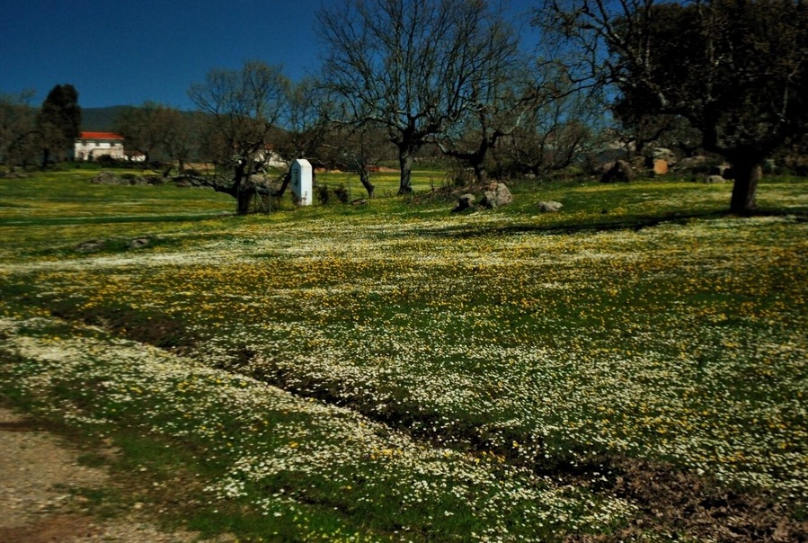 Extremadura 2010