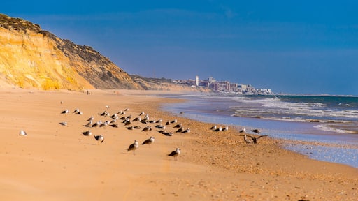 Natural Monument Acantilado del Asperillo, Mazagon, Almonte, Huelva, Spain, Europe, Shutterstock ID 747661450, Purchase Order: SP-1843, Order Number: SP-1843 Hotels.com Seasonality Project - Summer/Be