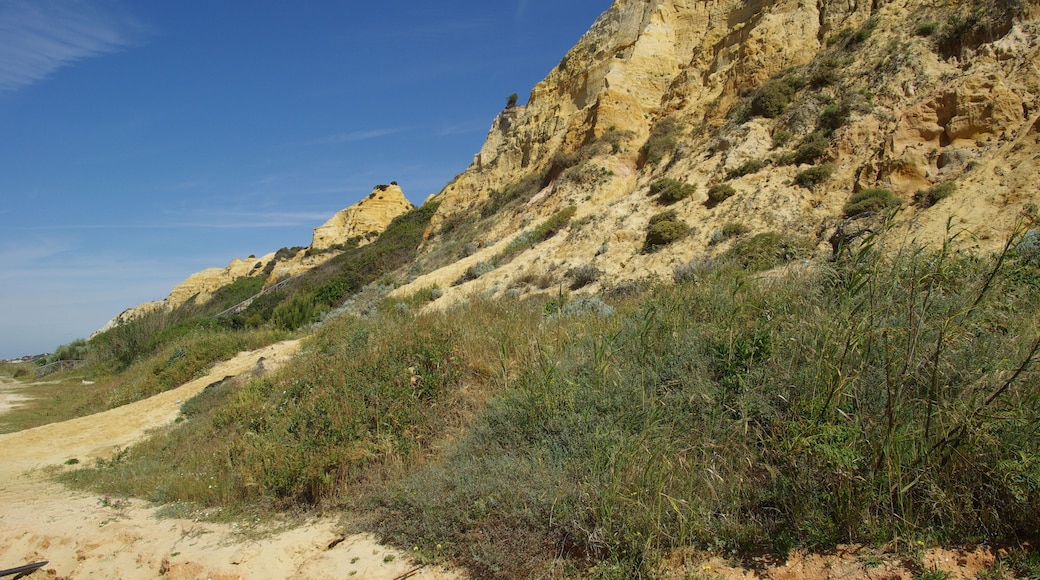 ® MAZAGON COSTA PLAYA DEL PARADOR DUNAS FÓSILES