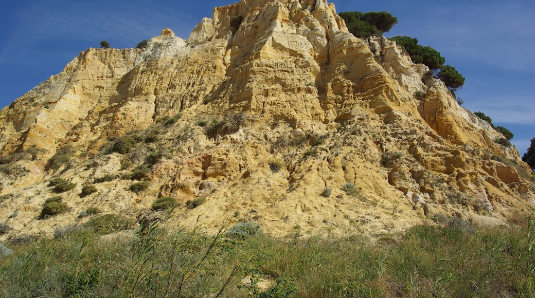 ® MAZAGON COSTA PLAYA DEL PARADOR DUNAS FÓSILES
