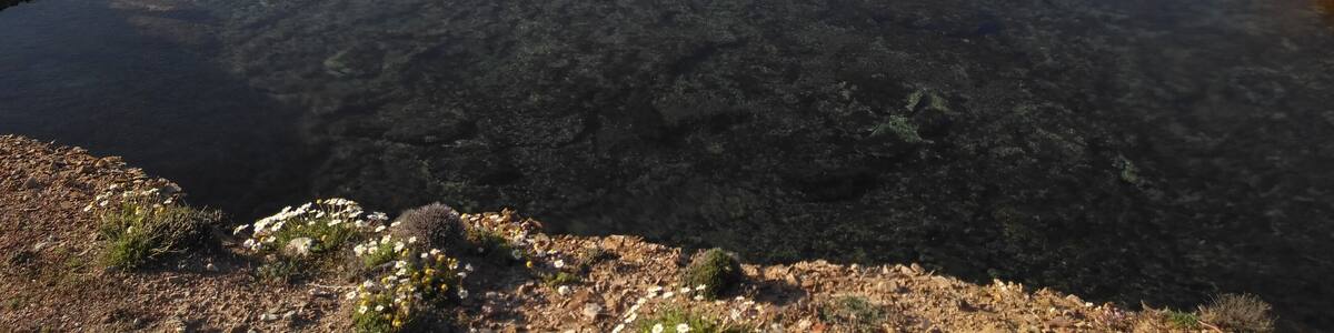 This is a photography of a Site of Community Importance in Spain with the ID: