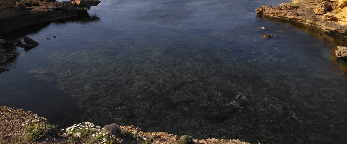 This is a photography of a Site of Community Importance in Spain with the ID: