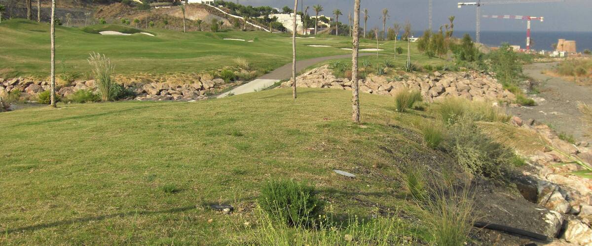 A golf course with a rocky path, green grass, and palm trees.