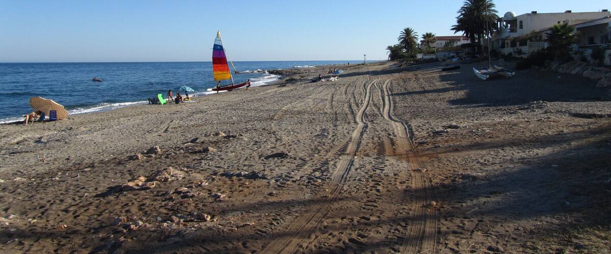 A sandy beach with a colorful sailboat, footprints, and palm trees.