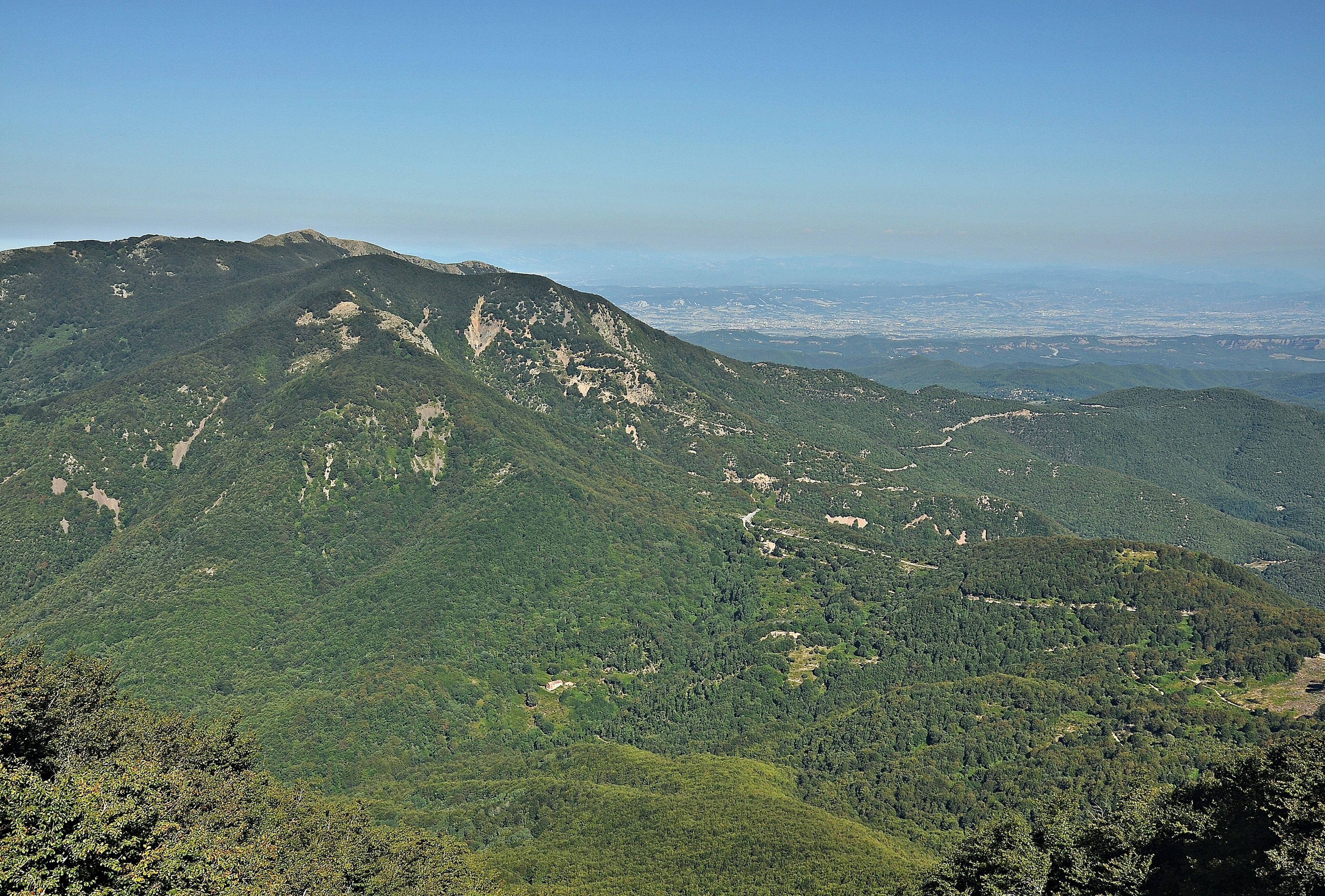 Valles Oriental-2016