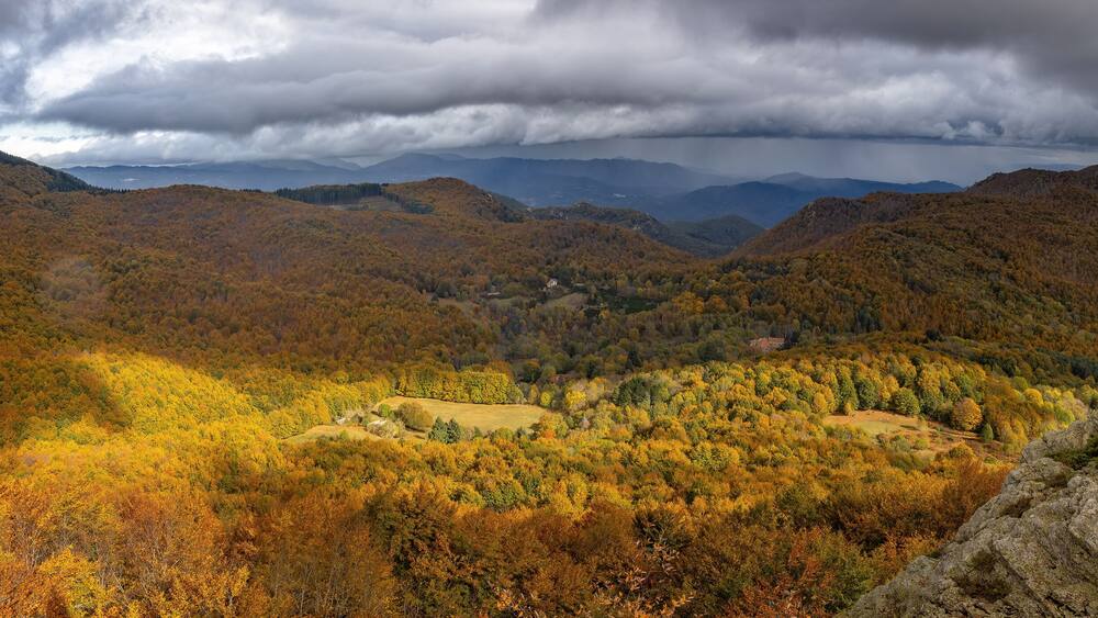 Nice beech forest in autumn in Spain, mountain Montseny