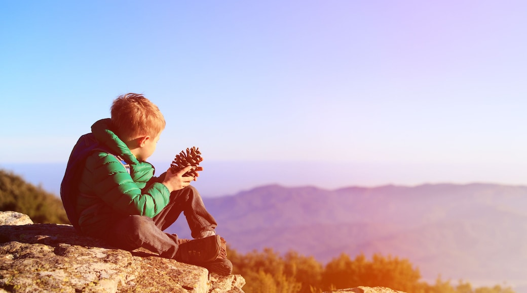 little boy hiking in scenic mountains looking at pine cone