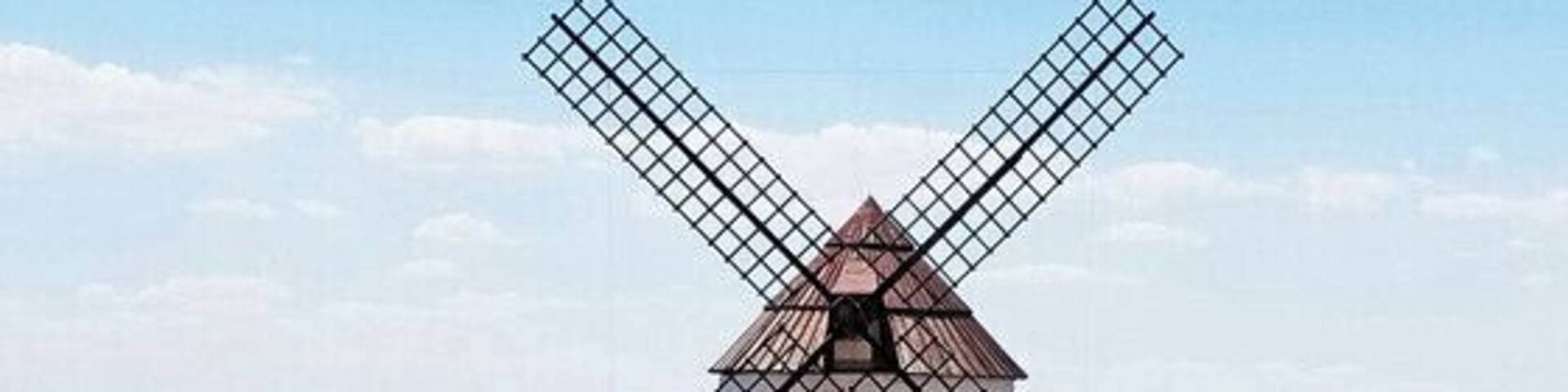 In researching my trip, I learned there are at least three sets of windmills that are frequently photographed in La Mancha - one at Consuegra, one at Campo de Criptana, and one at Mota del Cuervo. My guided day trip went to the last set. They'd looked the least picturesque online, so I was happily surprised by how lovely they were in reality!