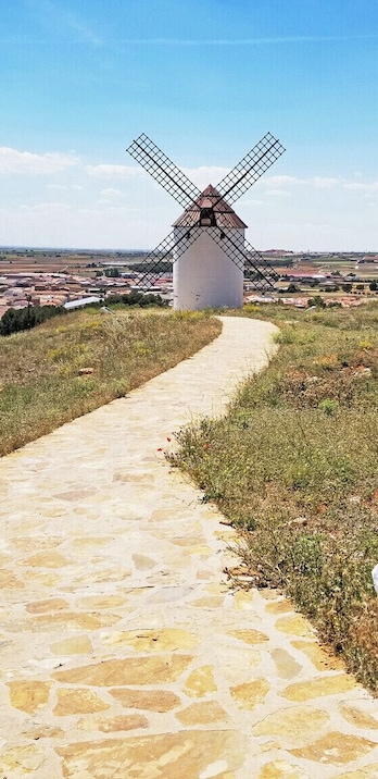 In researching my trip, I learned there are at least three sets of windmills that are frequently photographed in La Mancha - one at Consuegra, one at Campo de Criptana, and one at Mota del Cuervo. My guided day trip went to the last set. They'd looked the least picturesque online, so I was happily surprised by how lovely they were in reality!