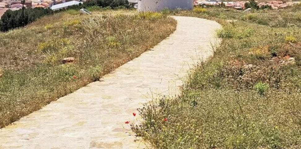 In researching my trip, I learned there are at least three sets of windmills that are frequently photographed in La Mancha - one at Consuegra, one at Campo de Criptana, and one at Mota del Cuervo. My guided day trip went to the last set. They'd looked the least picturesque online, so I was happily surprised by how lovely they were in reality!