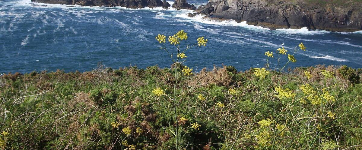 Vista desde el Faro de Mera