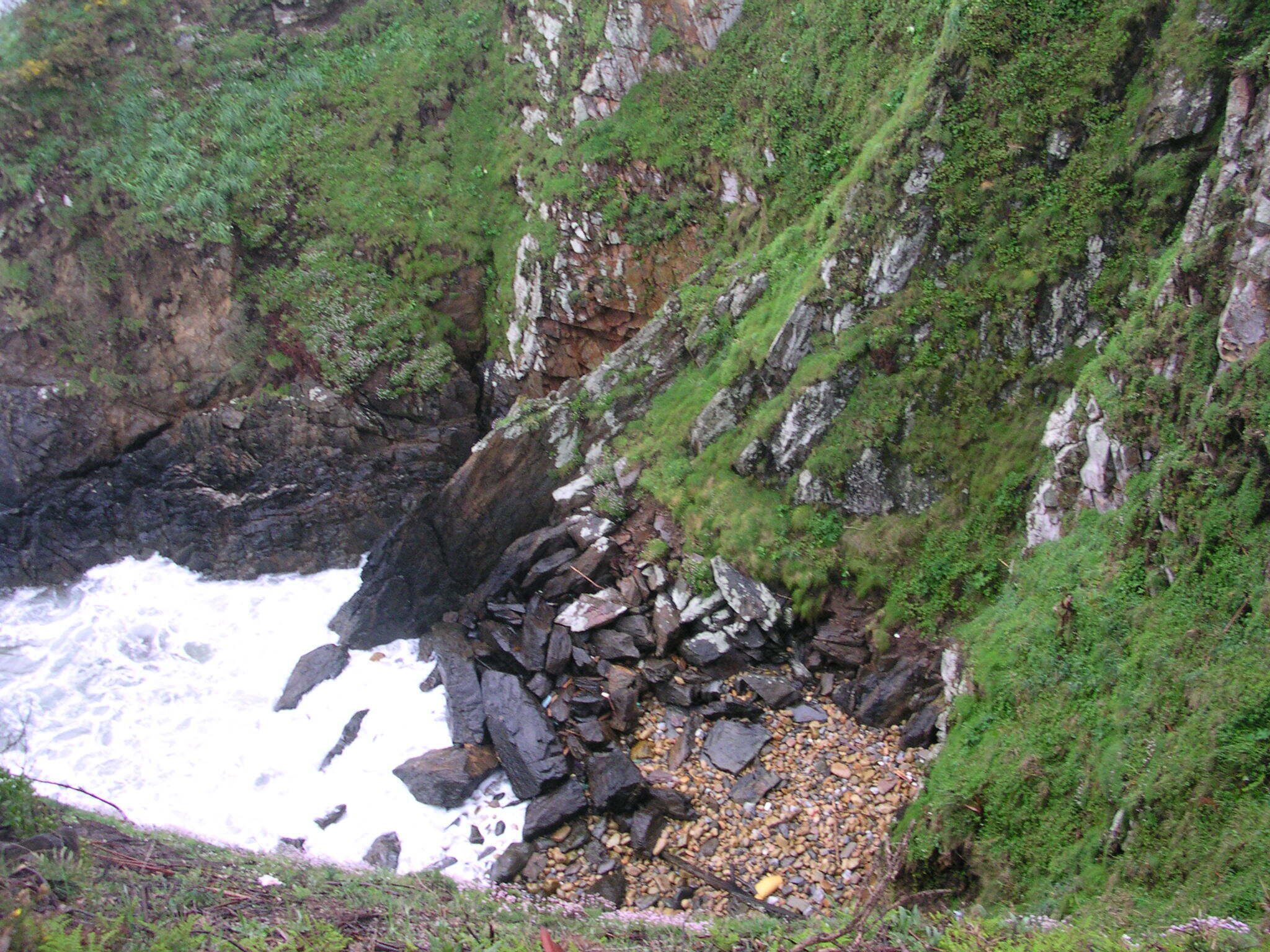A rocky coastline with waves crashing against the shore, surrounded by lush green vegetation.