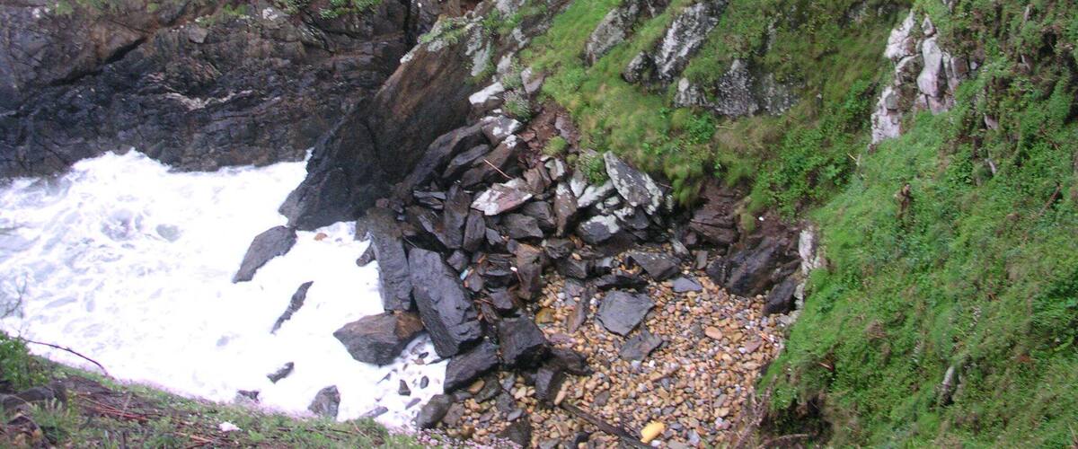 A rocky coastline with waves crashing against the shore, surrounded by lush green vegetation.