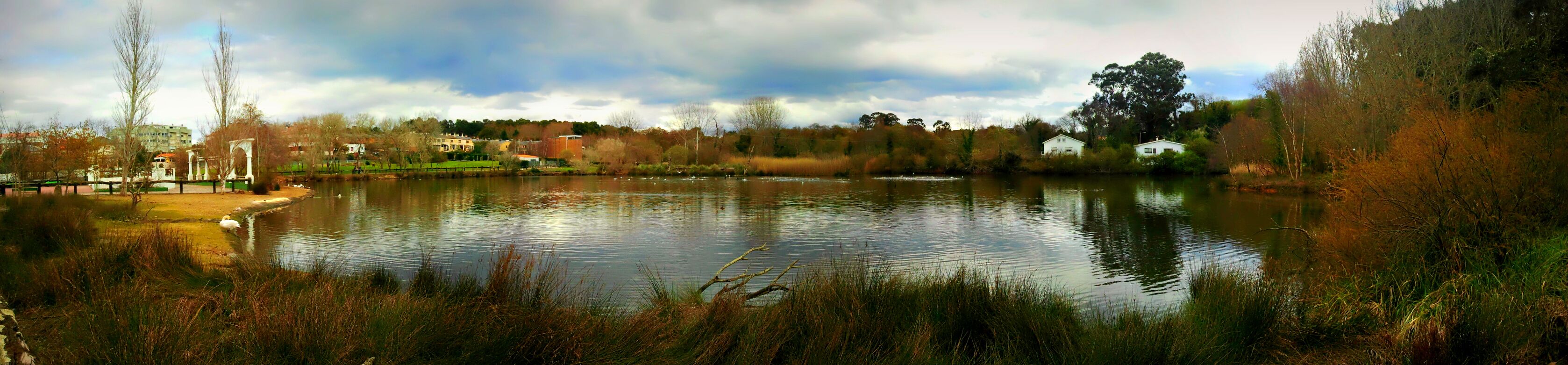 A calm lake surrounded by trees and buildings.
