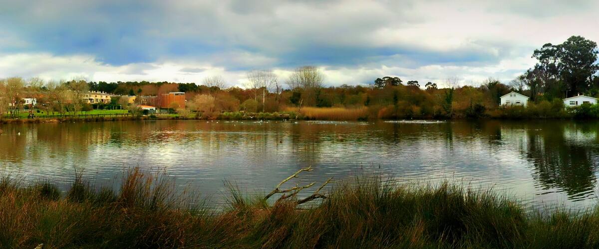A calm lake surrounded by trees and buildings.