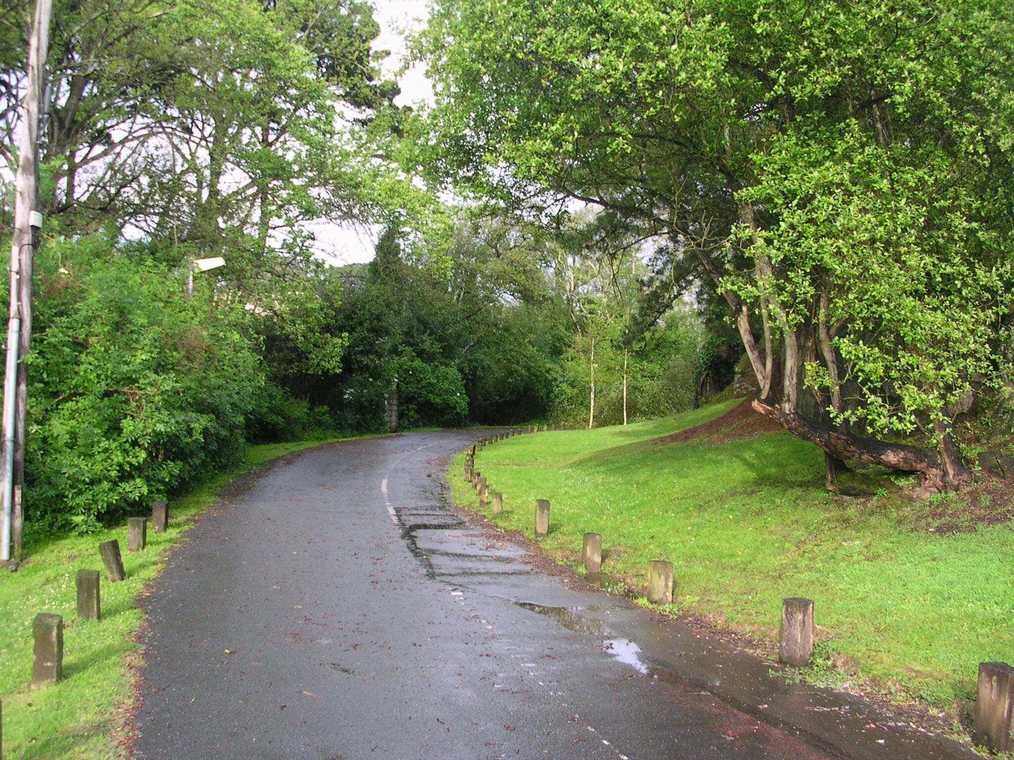 Camino del Parque Bastiagueiro