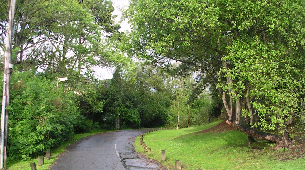 Camino del Parque Bastiagueiro