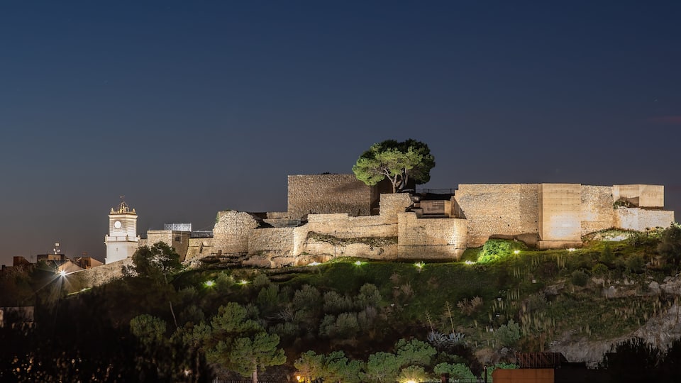 A historic stone fortress with a clock tower, illuminated by artificial lights, surrounded by dense greenery.