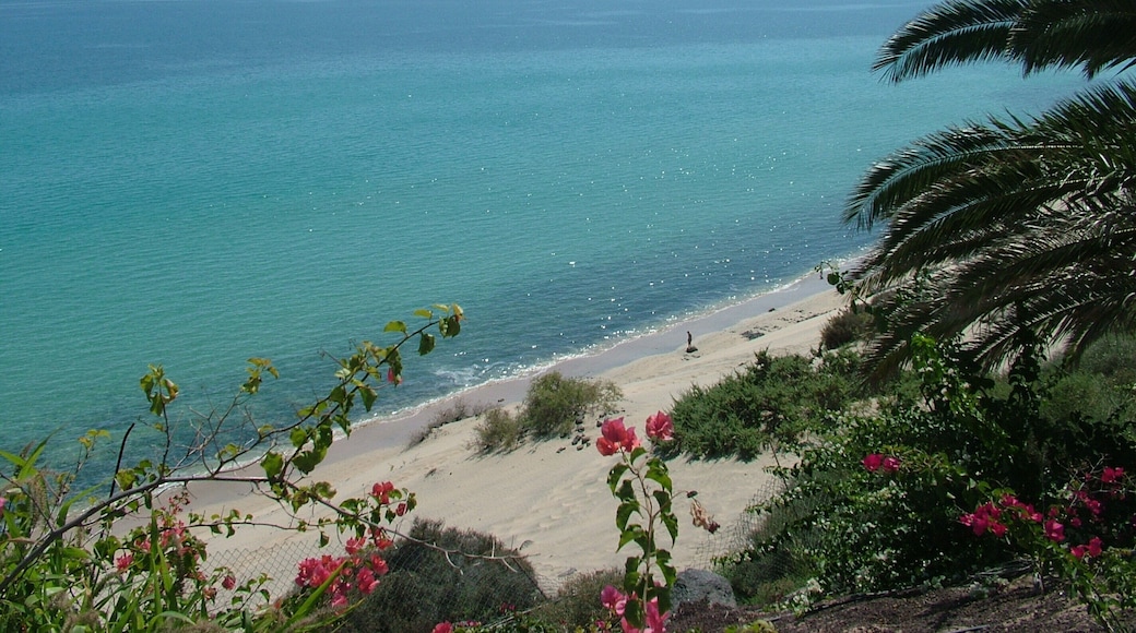 Sea View from Stairwell to Beach