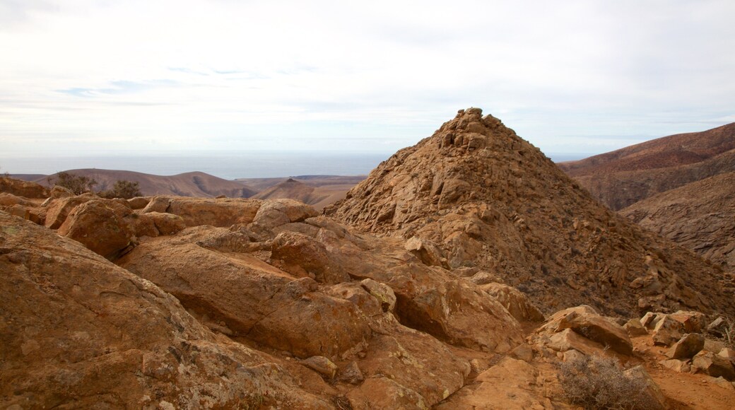 Pajara som viser ørkenutsikt og rolig landskap