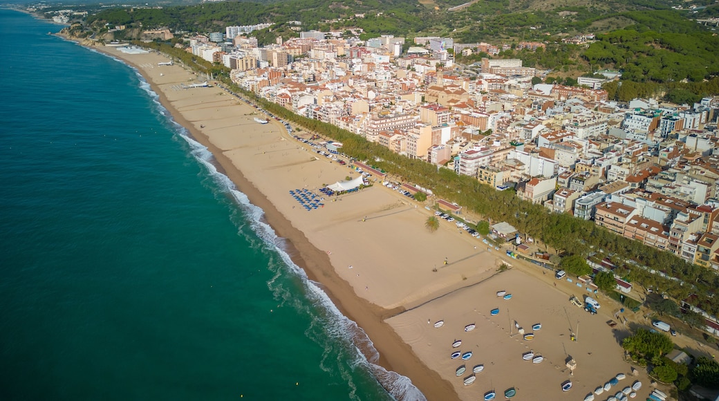 Pineda de Mar