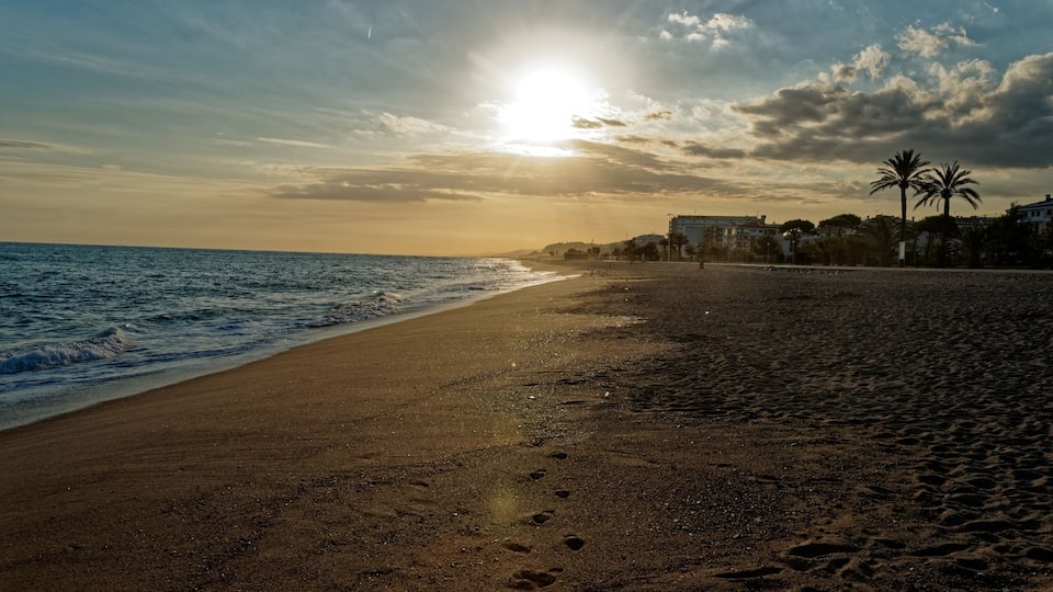 A beach with footprints leading to the water, palm trees, and buildings in the background.