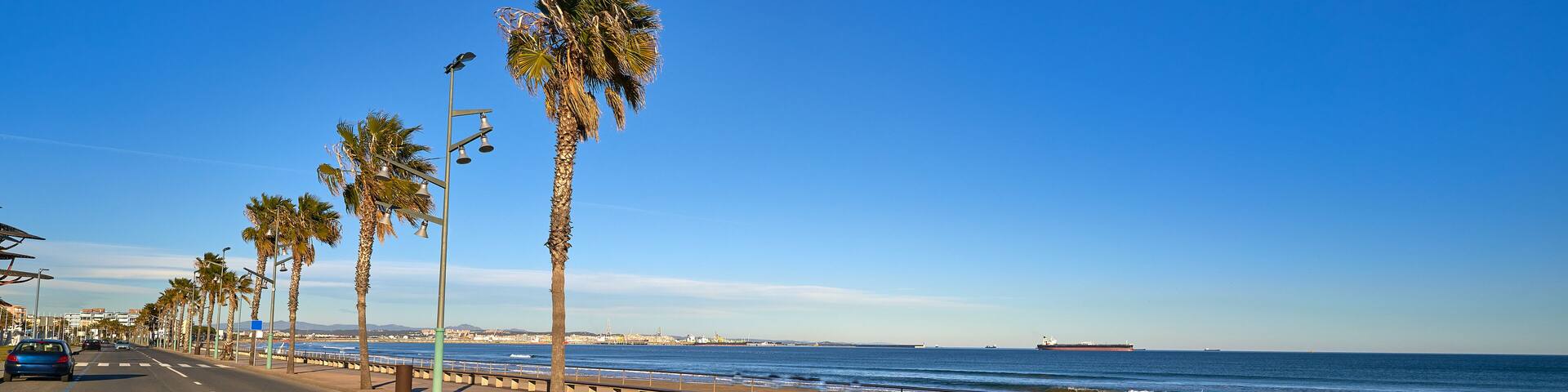 A coastal road lined with palm trees, a beach, and a ship in the distance.