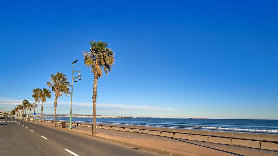 A coastal road lined with palm trees, a beach, and a ship in the distance.
