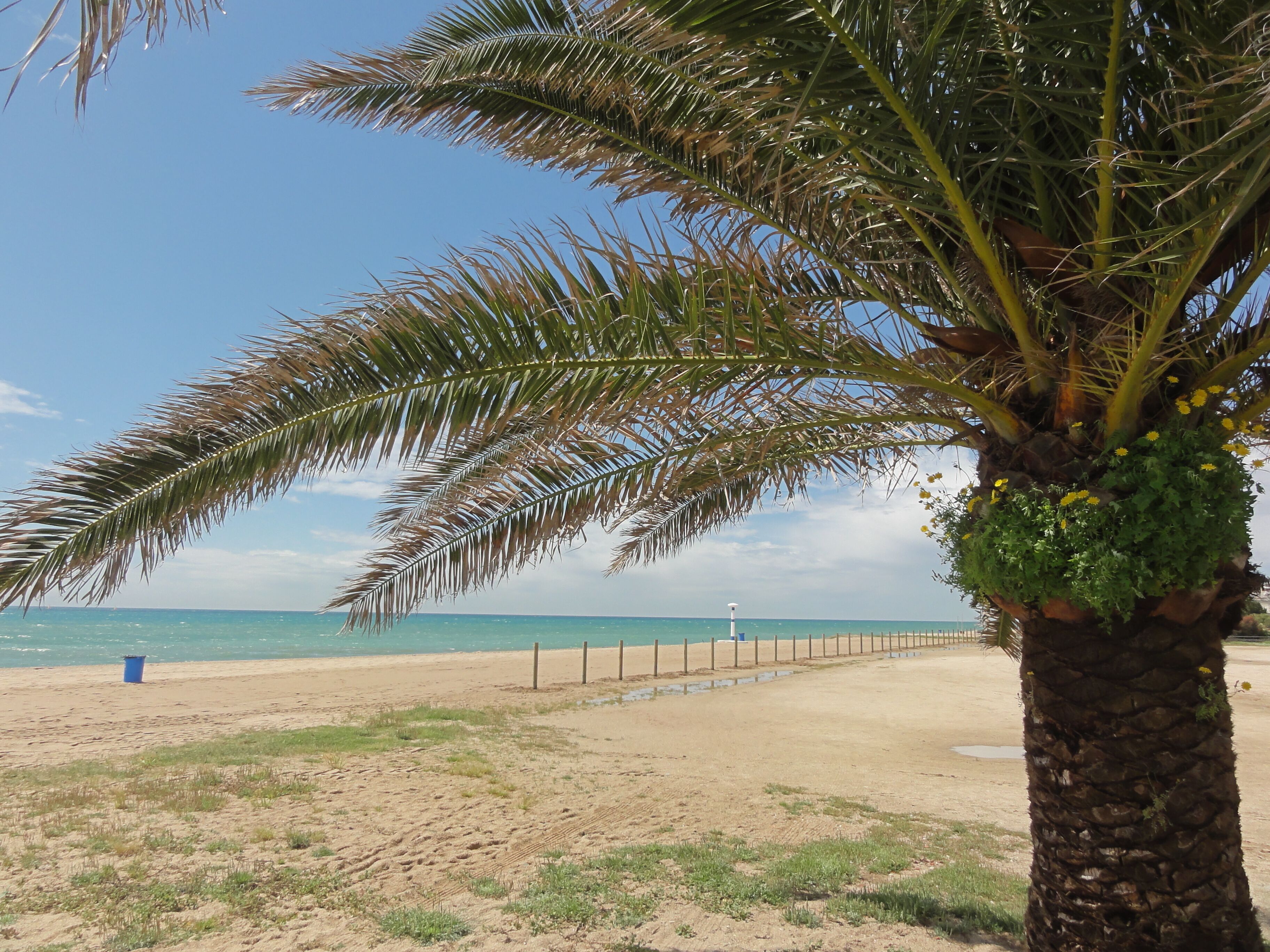 This is a a photo of a beach in Catalonia, Spain, with id: