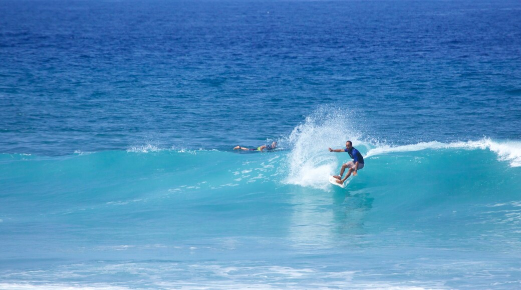 Playa de las Americas montrant surf et vagues aussi bien que homme