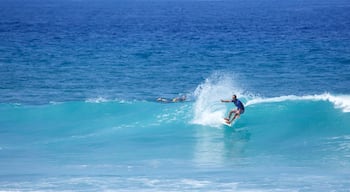 Playa de las Américas