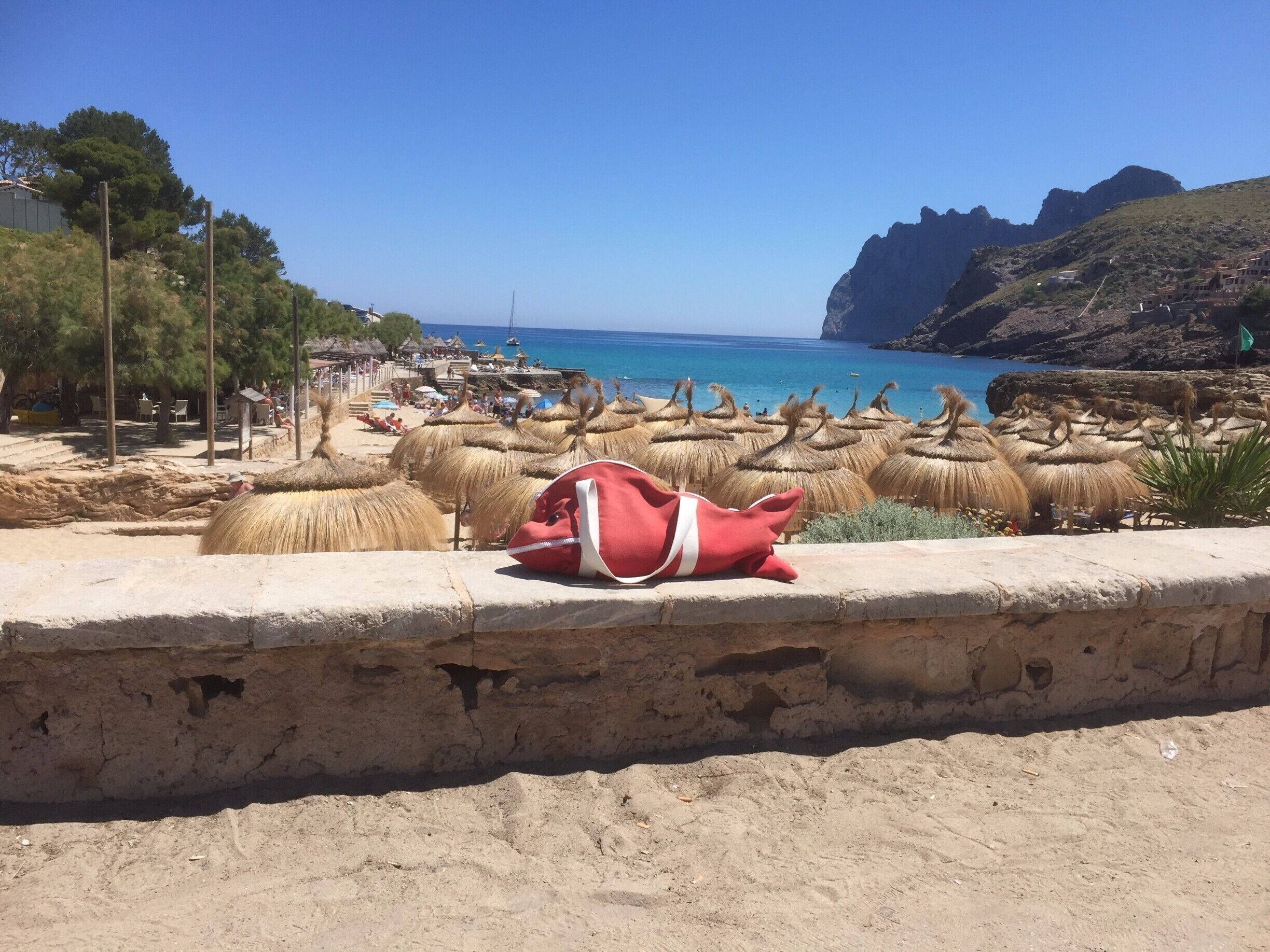 Fish at cala st vincente