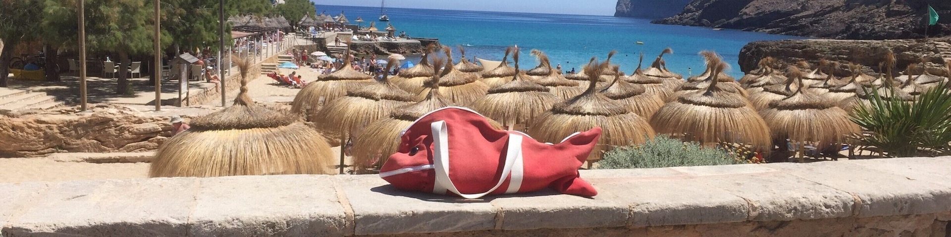 Fish at cala st vincente