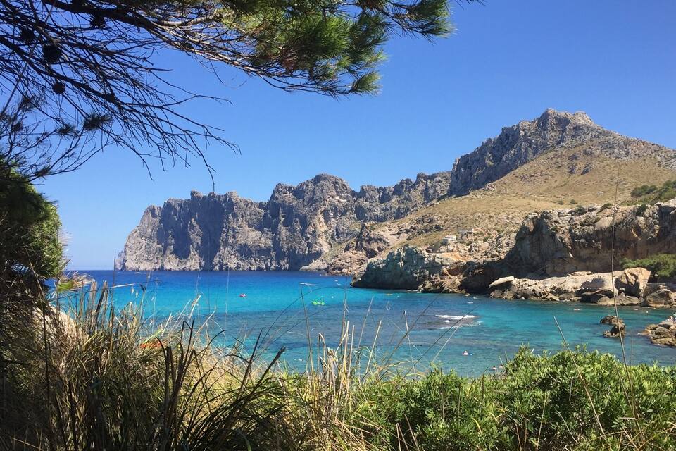 Un paysage côtier caractérisé par une eau d’un bleu limpide, des falaises rocheuses et une végétation luxuriante.