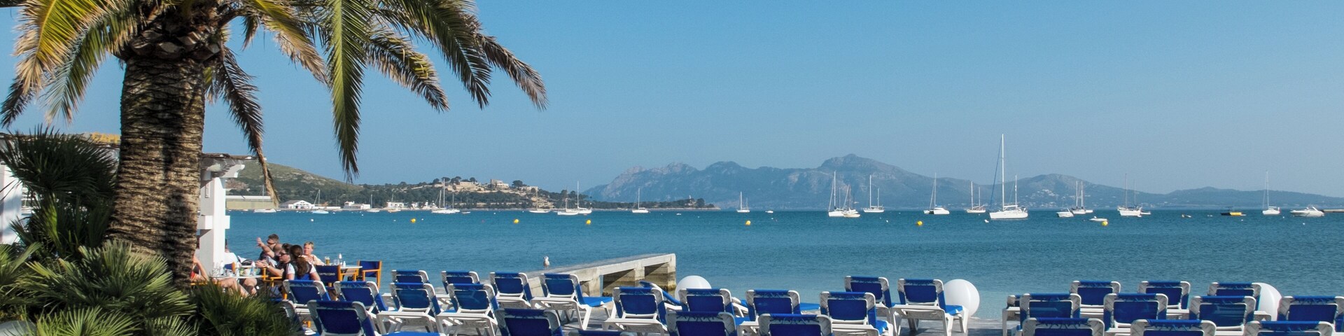Una playa con sillas azules para tomar el sol y una palmera.