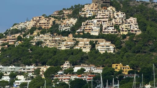 ميناء دي أندريتكس