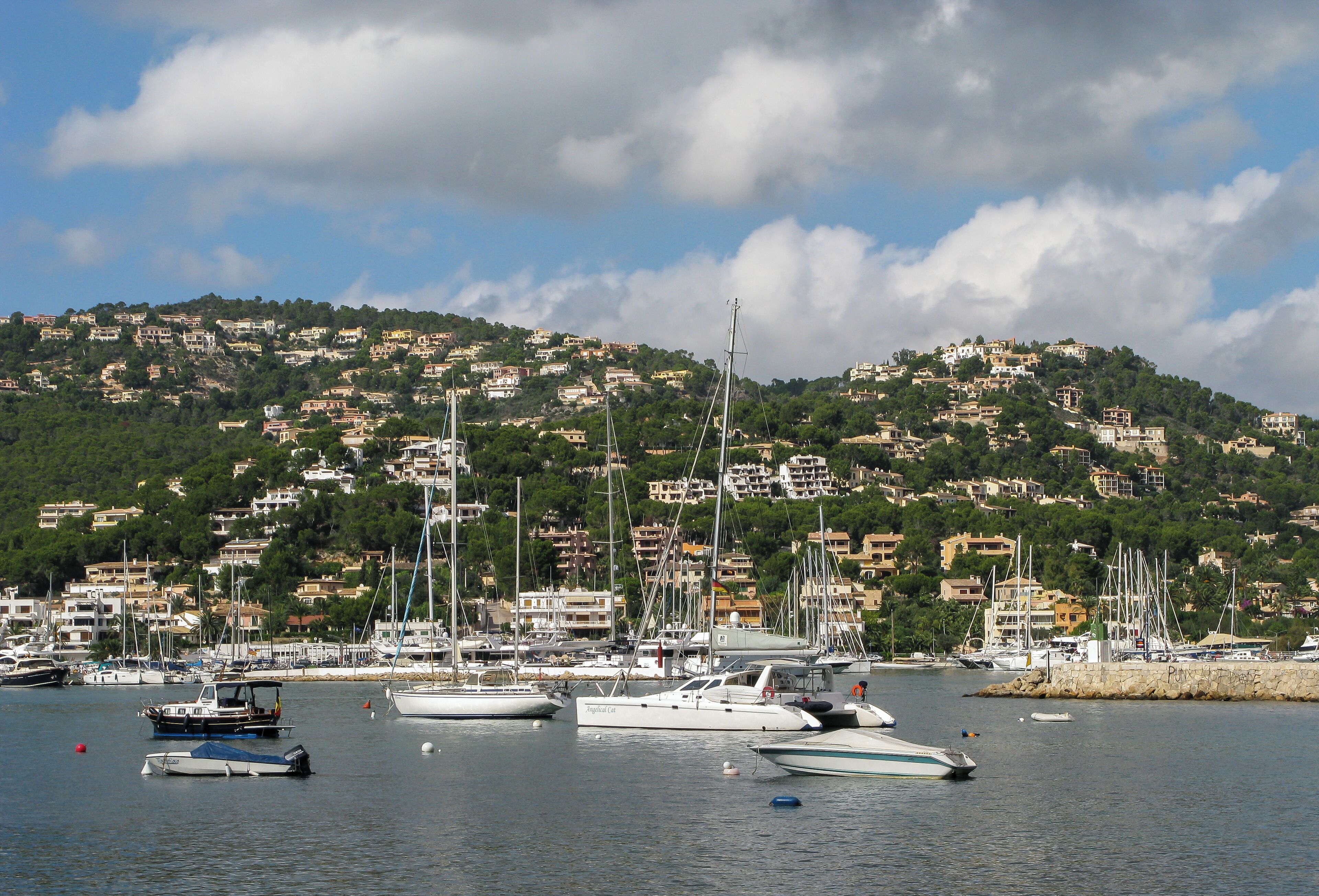 Port d'Andratx, Hafen