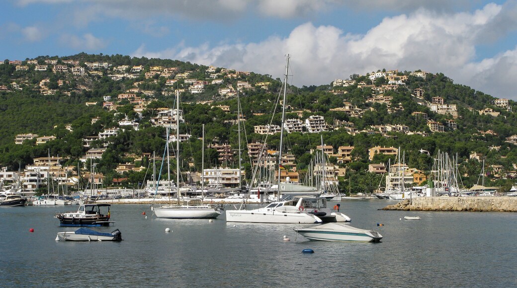 Port d'Andratx, Hafen